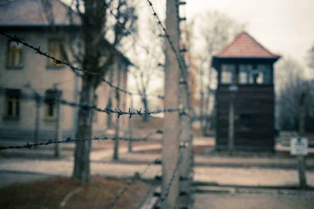 #Holocaust Quotes for Remembering