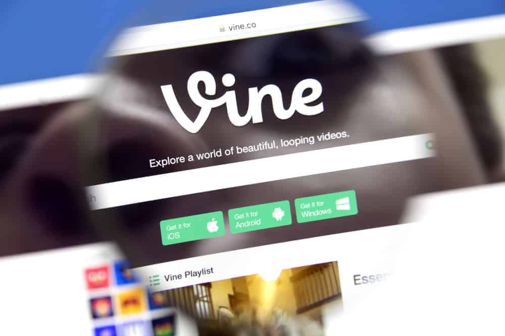 #Iconic Vine Quotes to Make You LOL