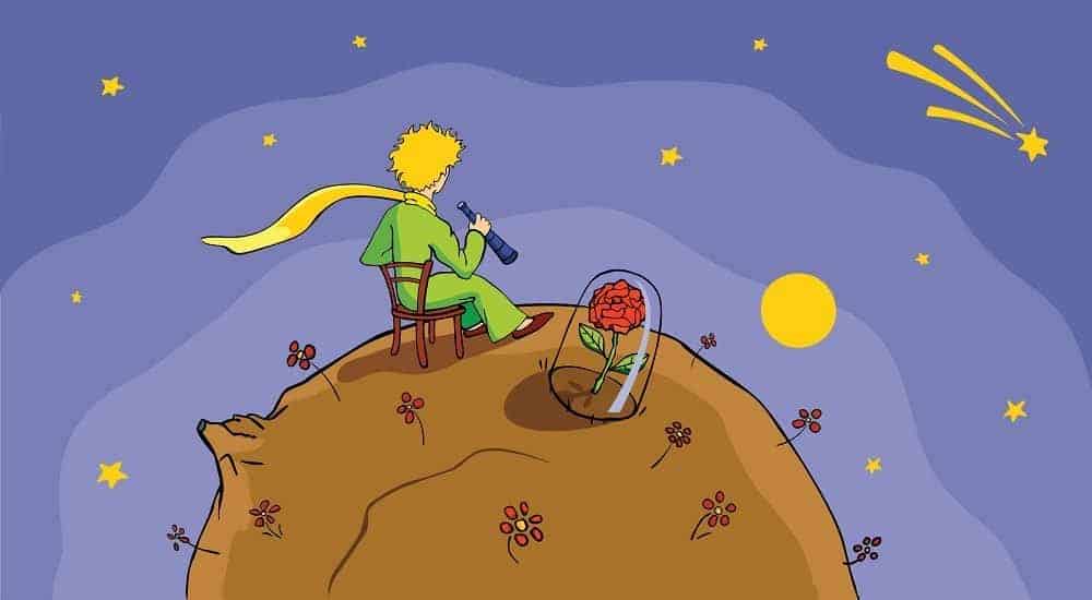 25 Little Prince Quotes About Life | Everyday Power