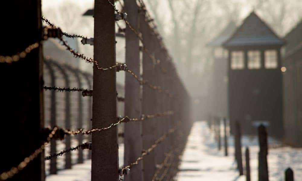 Todocreer Home 22 Viktor Frankl Quotes on Life Suffering and Success
