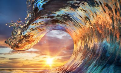 50 Waves Quotes For Surfers & Beach Lovers