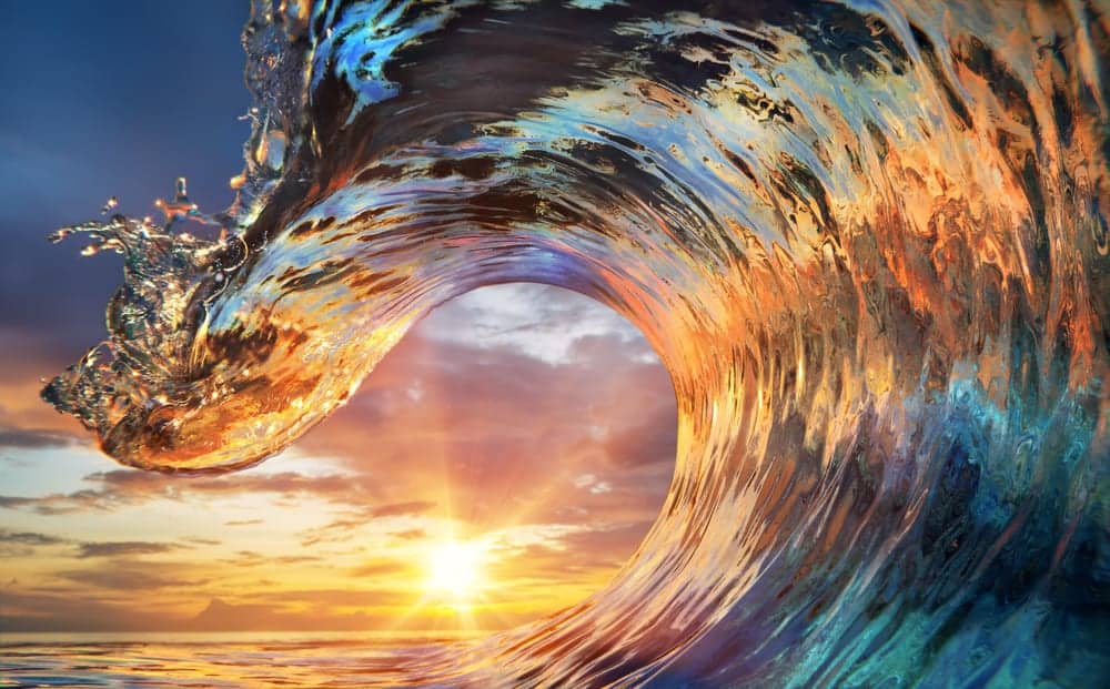 60 Waves Quotes For Surfers & Beach Lovers (2021)