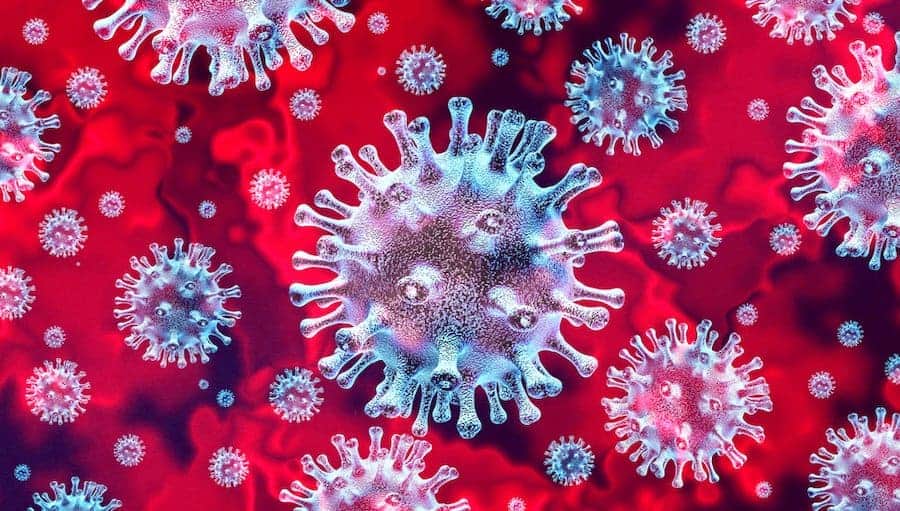 30 Coronavirus Facts About the Worldwide Pandemic (2020)