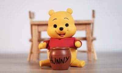 Winnie the Pooh the fictional teddy bear