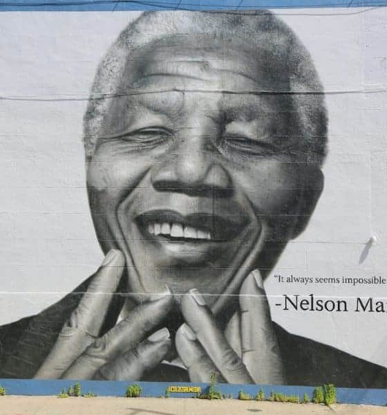 nelson mandela bio