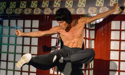 Bruce Lee the Martial Artist