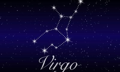 Zodiac Sign Virgo