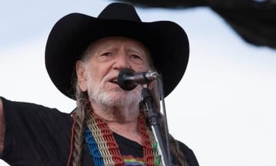 Willie Nelson the Musician