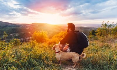 A Man and A Dog on a Sunset