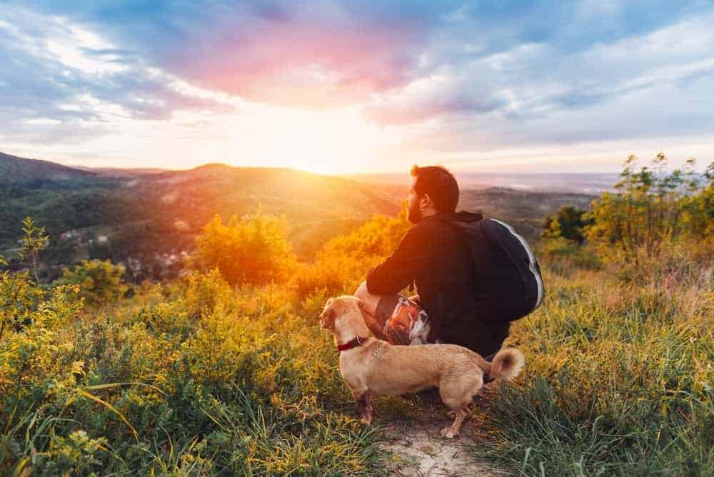 A Man and A Dog on a Sunset