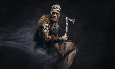 Viking Image