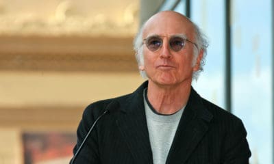 A Picture of Larry David