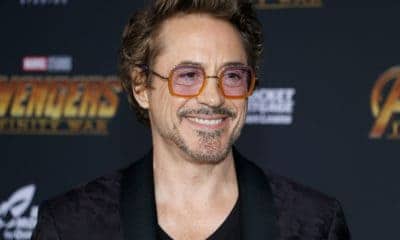 A Picture of Robert Downey Jr