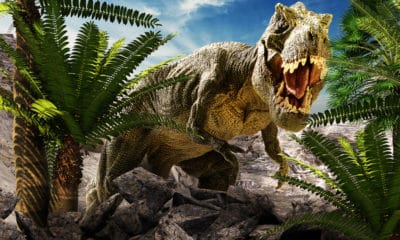 50 Adventurous Jurassic Park Quotes That Will Never Go Extinct