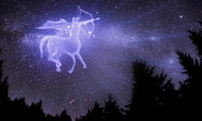 50 Sagittarius Quotes About The Adventurous Fire Sign