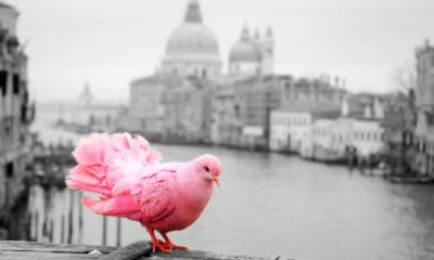 50 Unique Quotes on Why It's Best to Be Yourself