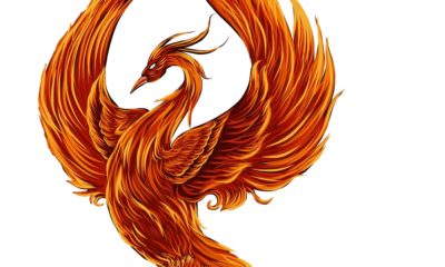 45 Phoenix Quotes to Encourage You To Rise Up