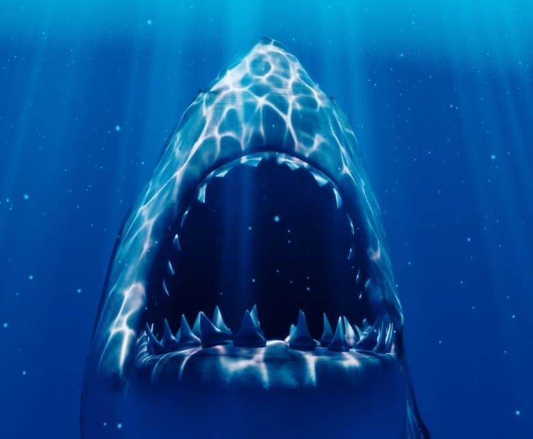 50 Jaws Quotes From the Legendary Thriller Everyday Power