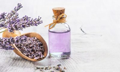 Lavender Quotes About the Calming Herb