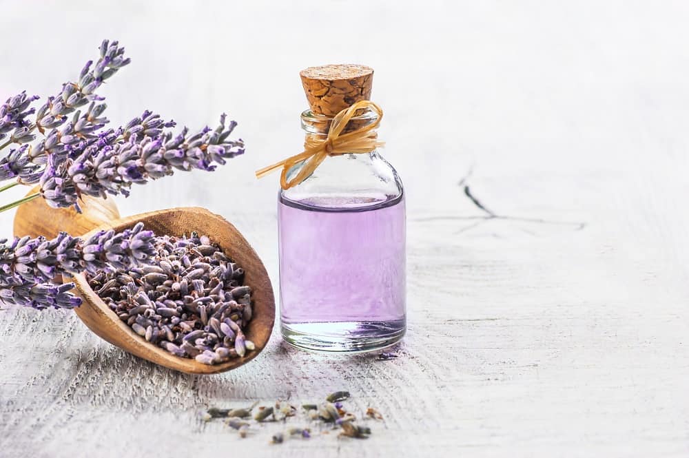 #Lavender Quotes About the Calming Herb