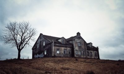 50 of the Best Scary The Haunting of Hill House Quotes