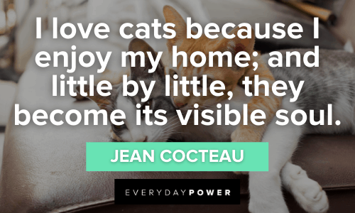 Pet Quotes and Sayings for All Animal Lovers | Everyday Power