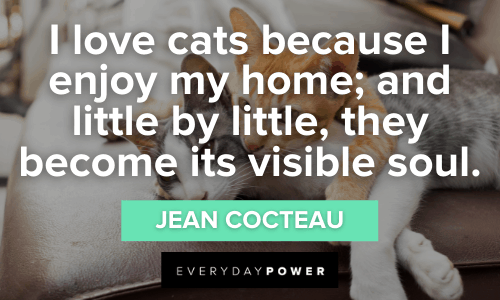 Pet Quotes about cats