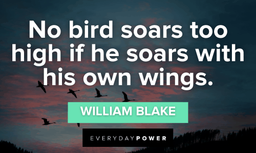 Proverbs And Sayings About Birds