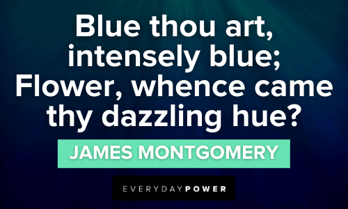 278 Blue Quotes For Color Lovers & Creatives