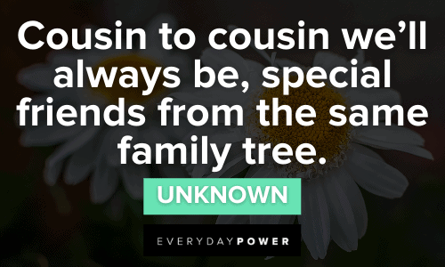 cousin quotes and sayings