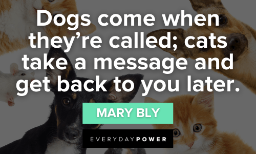 Pet Quotes and Sayings for All Animal Lovers – Daily Inspirational Posters