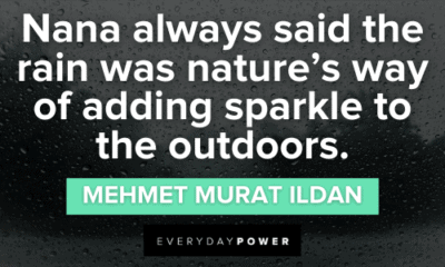 75 Rain Quotes to Lift Your Spirits | Everyday Power