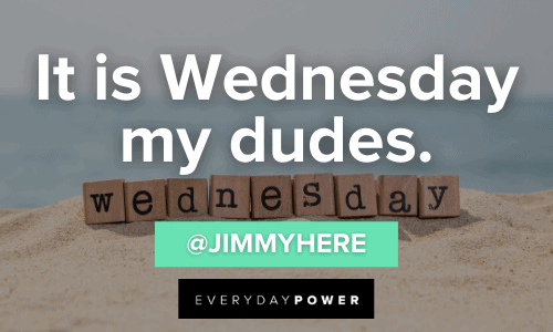Vine Quotes about wednesday