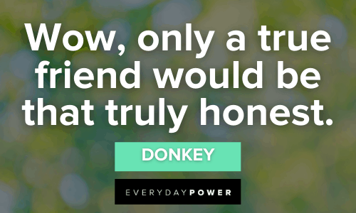 shrek donkey quotes