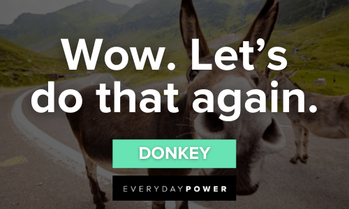 shrek and donkey funny quotes