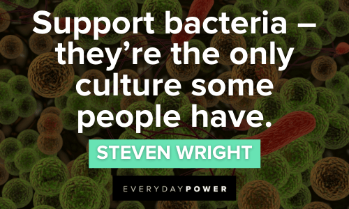 funny Steven Wright Quotes