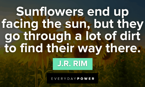 Inspirational Sunflower Quotes to Learn From