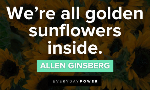 sunflower life quotes