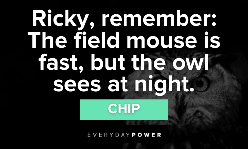 "Ricky, remember: The field mouse is fast, but the owl sees at night." — Chip Talladega Nights quotes will make you feel like a winner