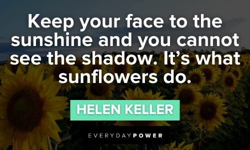 Sunflower quotes to keep your face to the sunshine