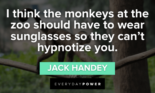 Jack Handey Quotes to make your day