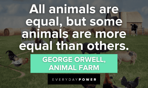 Animal Farm Quotes about equality