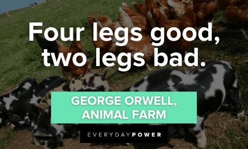 Animal Farm Quotes To Teach You the Power of Too Much Power – Daily