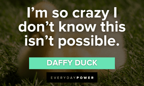 crazy Daffy Duck Quotes about being crazy