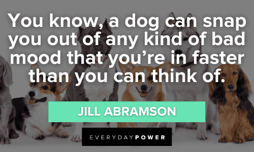 Dog Quotes to lift your mood