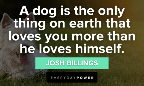 Dog Quotes About love