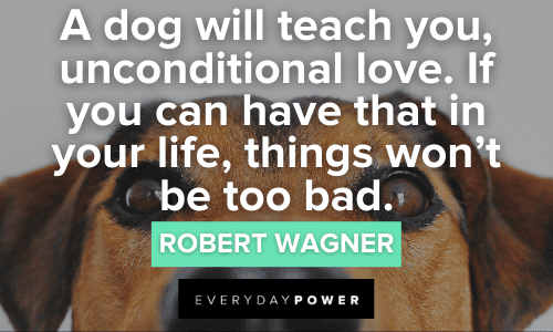 Dog Quotes about unconditional love