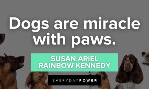 inspirational Dog Quotes