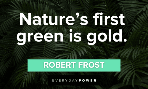 Green Quotes about nature