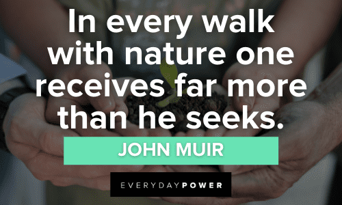 John Muir Quotes about nature